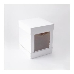 CAJA LUXOR CON VISOR 20 X 20 X 25 CM